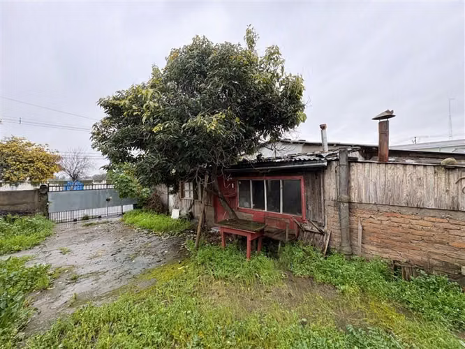 Sitio 1.300 m2 en Chillán Viejo
