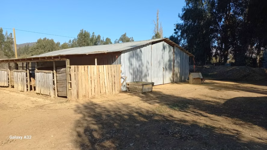 VIVE EN ARMONÍA CON LA NATURALEZA EN PUMANQUE