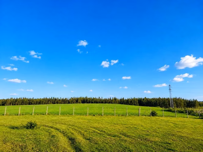 Campo de 5 hectáreas tijeral