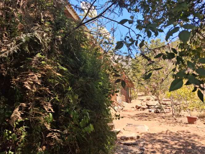 Tres parcelas, casa, piscina, frutales en el Tebal