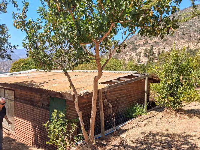 Tres parcelas, casa, piscina, frutales en el Tebal