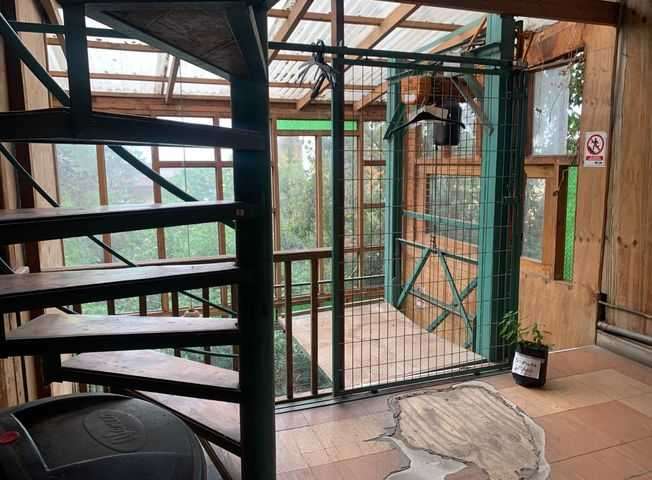 Gran casona en Cerro Alegre (179029) - Imagen 17