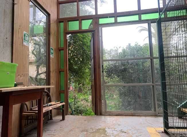 Gran casona en Cerro Alegre (179029) - Imagen 11