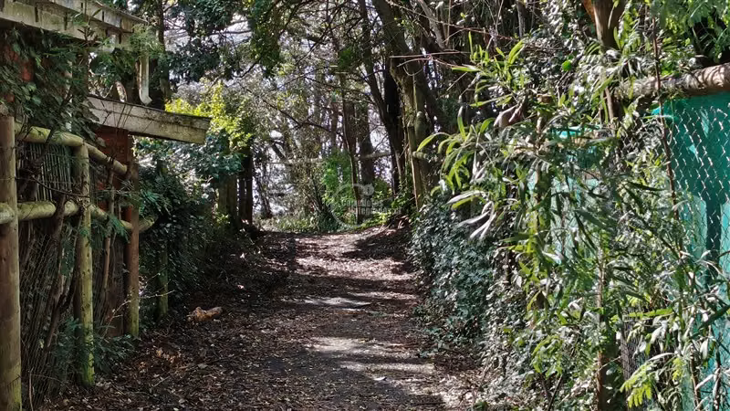Sitio en venta en Villarrica - Imagen 11