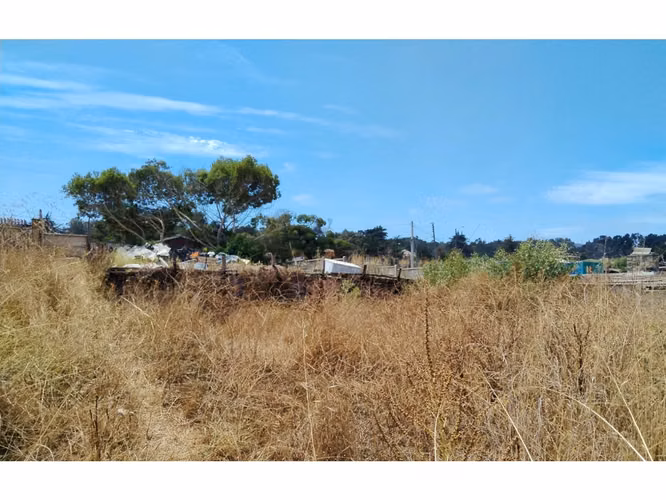 VIVABIEN PROPIEDADES VENDE  SITIO Y TERRENO EN CONSTRUCION EN EL TABO