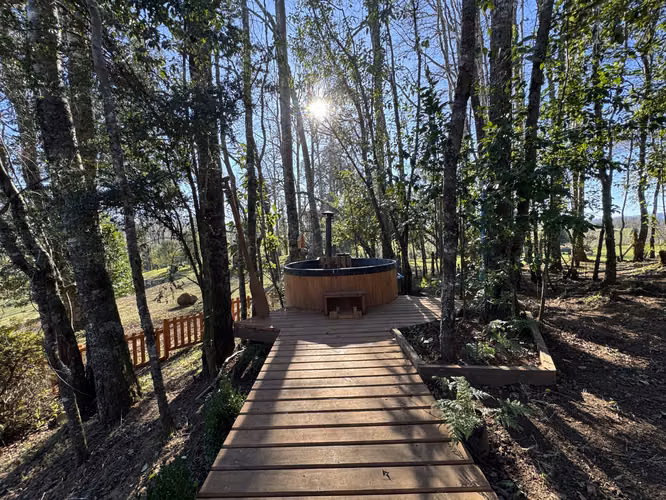 Parcela de tus Sueños en la Cuenca del Lago Ranco - Imagen 19