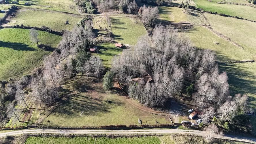 Parcela de tus Sueños en la Cuenca del Lago Ranco - Imagen 23