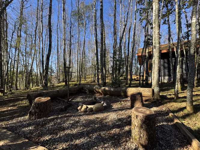 Parcela de tus Sueños en la Cuenca del Lago Ranco - Imagen 20