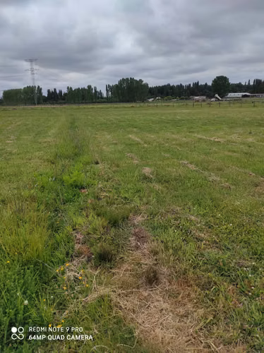 Vendo Parcela 5.000 m² en Cabrero - Rol Propio - Luz, Agua y Radieres Listos