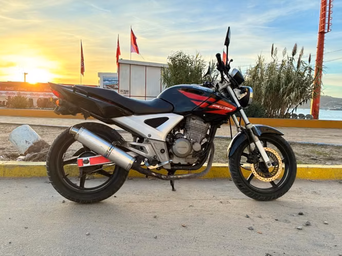 Moto Honda Cbx 250 Twister