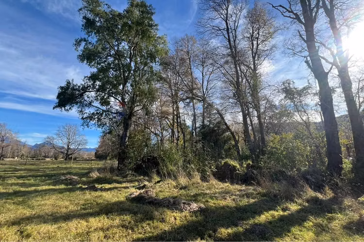 Venta parcela 5.000 m² en hacienda menetúe pucón - Imagen 14