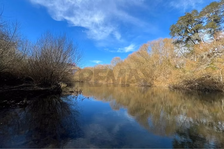 Venta parcela 5.000 m² en hacienda menetúe pucón - Imagen 19