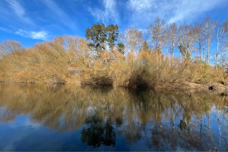 Venta parcela 5.000 m² en hacienda menetúe pucón - Imagen 20