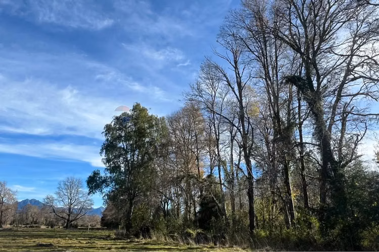Venta parcela 5.000 m² en hacienda menetúe pucón - Imagen 15