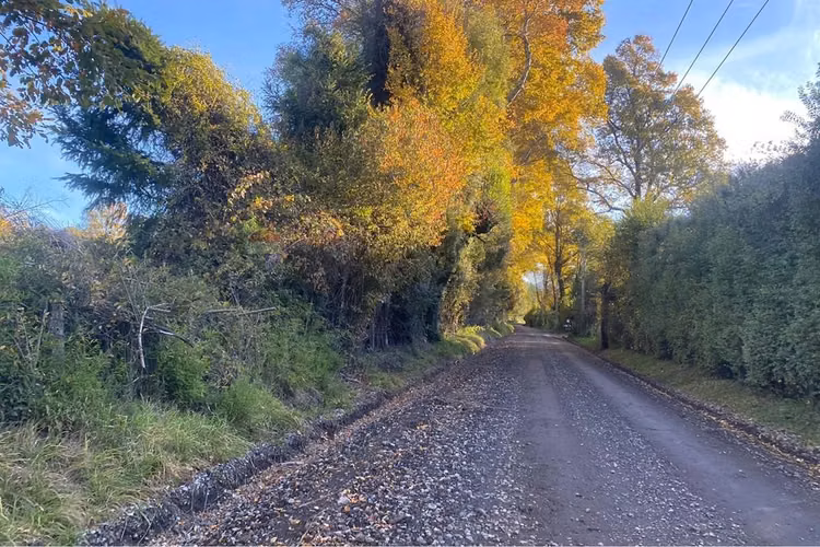 Venta parcela 5.000 m² en hacienda menetúe pucón - Imagen 21