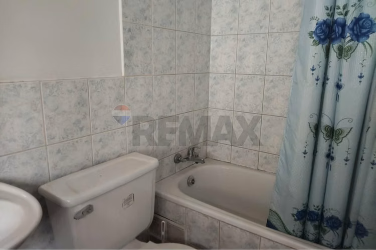 Gran parcela en colonias de paine con spa - Imagen 33