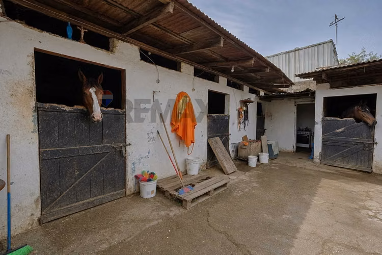 Venta propiedad comercial | caballeriza