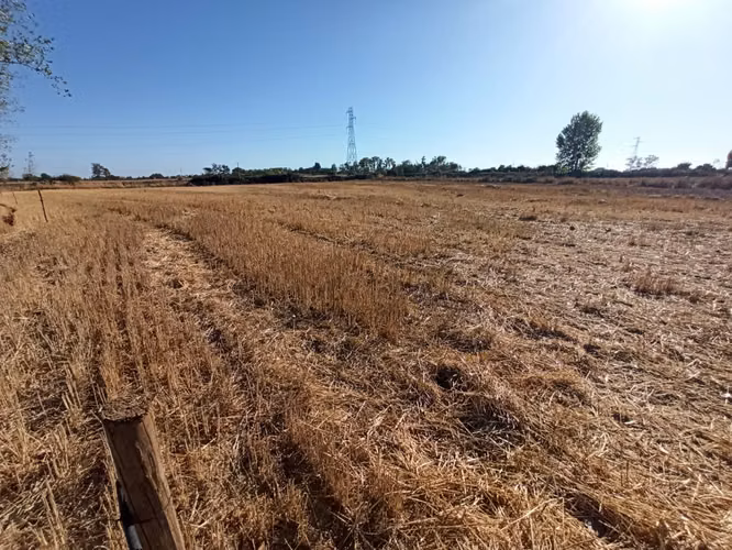 TERRENO AGRICOLA, PROPIEDAD DE 39,7 HA CON AGUA EN COLBÚN