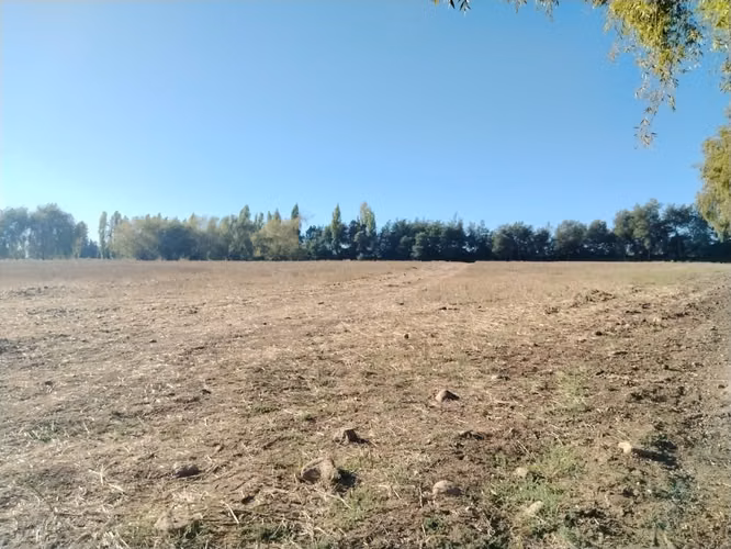 TERRENO AGRICOLA, PROPIEDAD DE 39,7 HA CON AGUA EN COLBÚN - Imagen 12