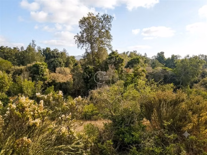 282 ha Casablanca Algarrobo agua inscrita