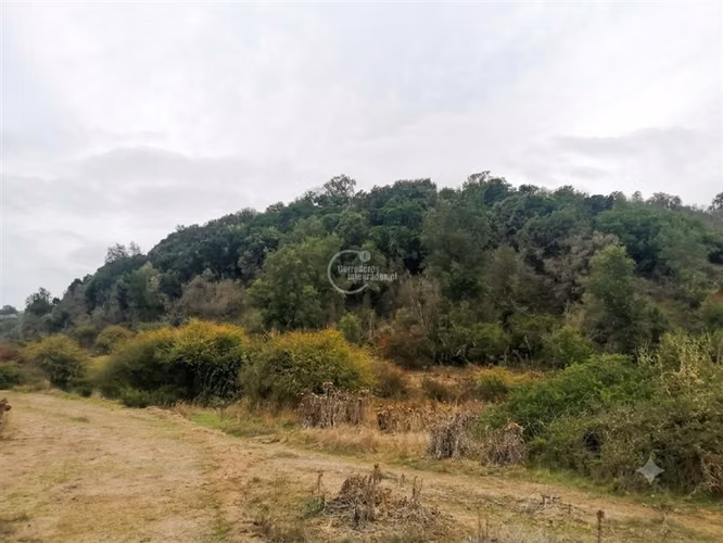 282 ha Casablanca Algarrobo agua inscrita