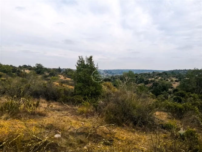 282 ha Casablanca Algarrobo agua inscrita