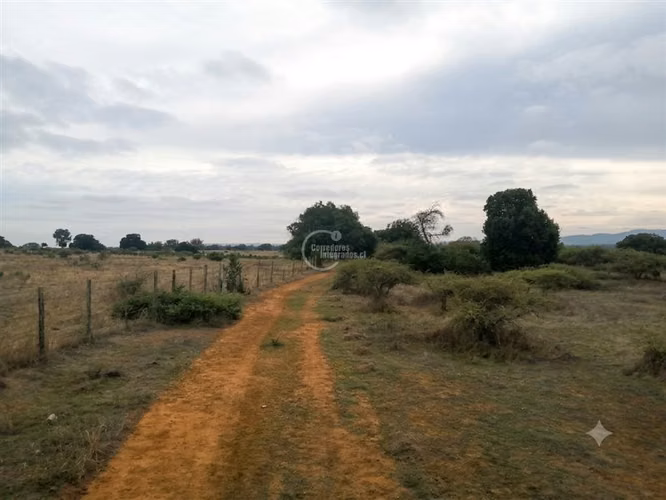 282 ha Casablanca Algarrobo agua inscrita