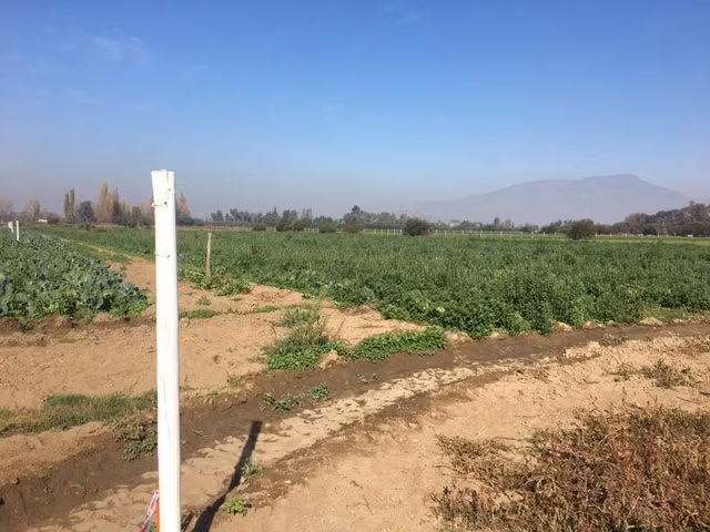 Gran Terreno a la Venta en Sector O’Higgins Ignacio Carrera,