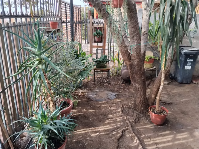 PROPIEDAD A LA VENTA EN CALLE EL PELLIN, LARAPINTA - Imagen 12