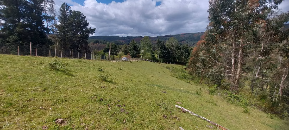 Linda parcela bosque y pequeña vertiente a 15 minutos de Valdivia