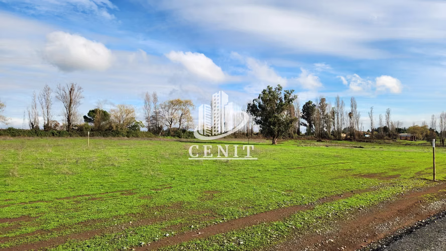 VENTA DE PARCELAS EN SAN CLEMENTE, 25 MIN DE TALCA - Imagen 8