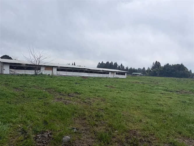 PARCELA AGRÍCOLA PRODUCTIVA CON NEGOCIO AVÍCOLA FUNCIONANDO