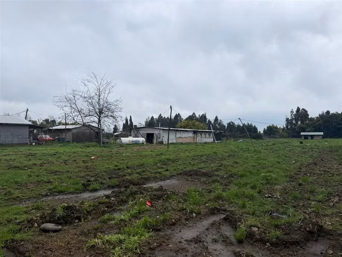 PARCELA AGRÍCOLA PRODUCTIVA CON NEGOCIO AVÍCOLA FUNCIONANDO