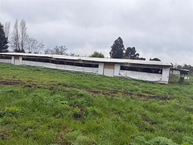 PARCELA AGRÍCOLA PRODUCTIVA CON NEGOCIO AVÍCOLA FUNCIONANDO
