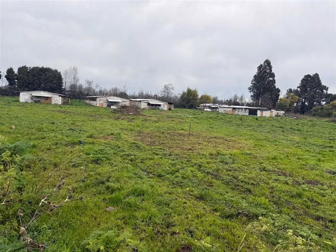 PARCELA AGRÍCOLA PRODUCTIVA CON NEGOCIO AVÍCOLA FUNCIONANDO