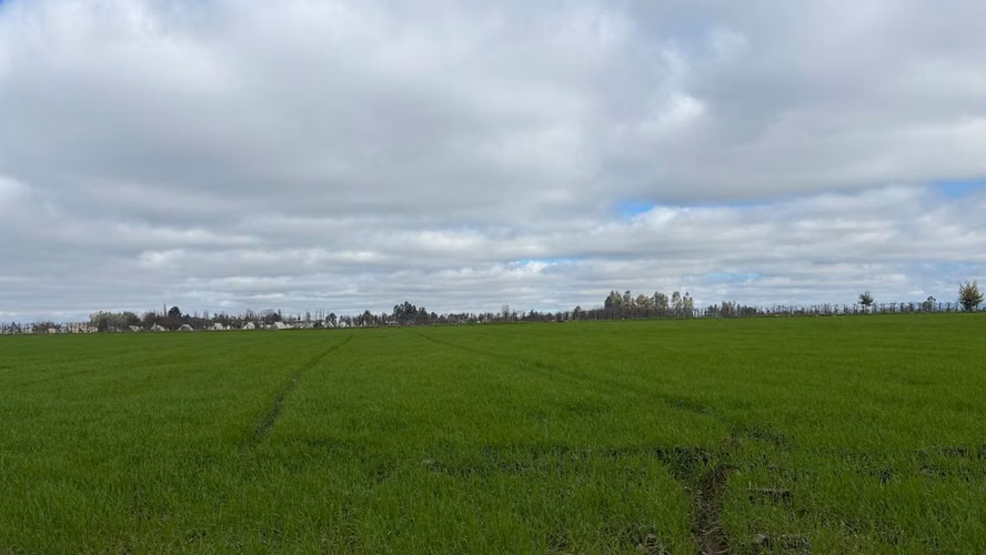 VENTA SITIO INDUSTRAL SECTOR MONTERILLA TENO