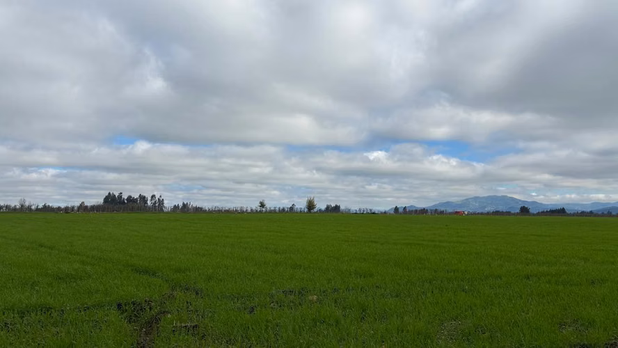VENTA SITIO INDUSTRAL SECTOR MONTERILLA TENO