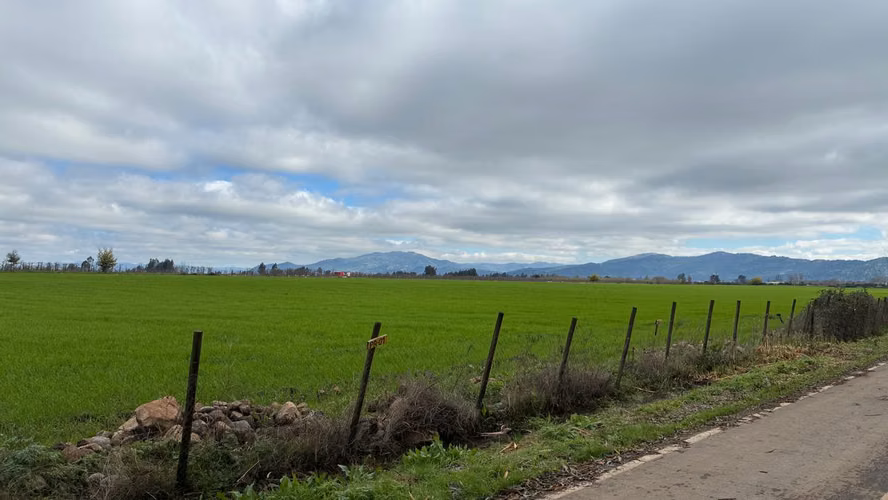 VENTA SITIO INDUSTRAL SECTOR MONTERILLA TENO