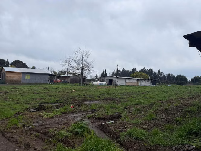 PARCELA AGRÍCOLA PRODUCTIVA CON NEGOCIO AVÍCOLA FUNCIONANDO – 4 HECTÁREAS – SAN JAVIER