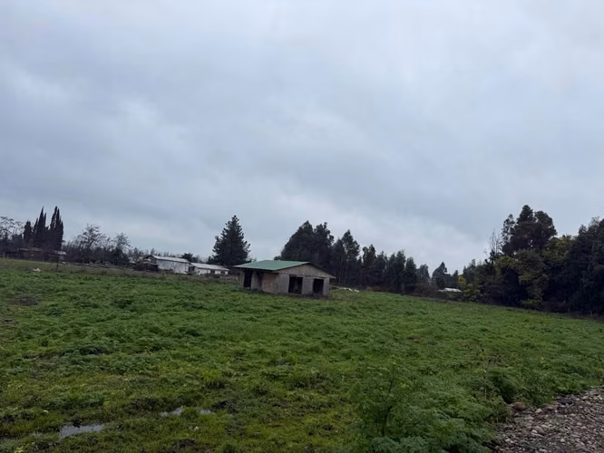 PARCELA AGRÍCOLA PRODUCTIVA CON NEGOCIO AVÍCOLA FUNCIONANDO – 4 HECTÁREAS – SAN JAVIER