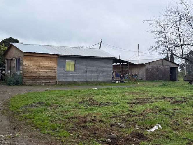 PARCELA AGRÍCOLA PRODUCTIVA CON NEGOCIO AVÍCOLA FUNCIONANDO – 4 HECTÁREAS – SAN JAVIER