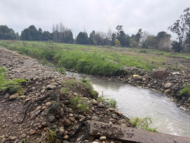 PARCELA AGRÍCOLA PRODUCTIVA CON NEGOCIO AVÍCOLA FUNCIONANDO – 4 HECTÁREAS – SAN JAVIER