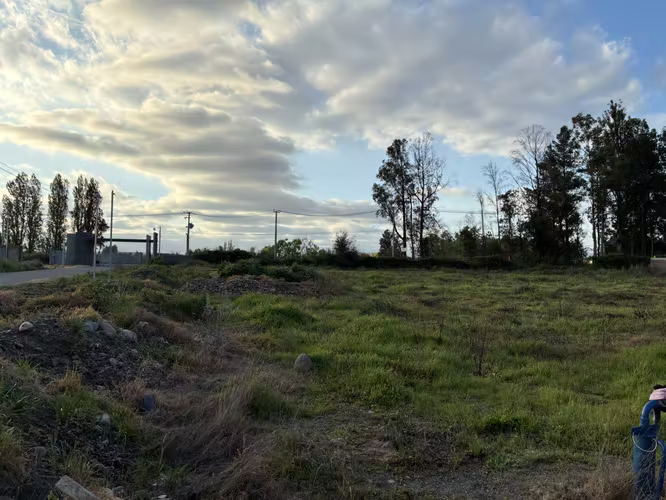 VENTA PARCELA DE 5000 M2 COND EL MADROÑO ZAPALLAR - Imagen 2
