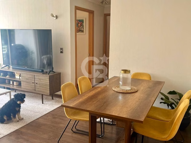 Departamento Jardines del Sur