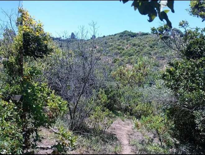 Terreno Amplio con Vistas Espectaculares (179103)