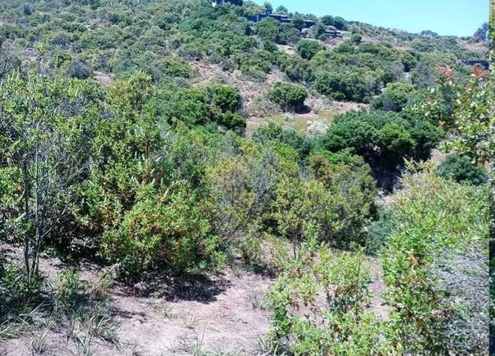 Terreno Amplio con Vistas Espectaculares (179103)