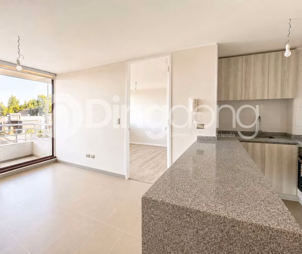 Departamento 1D1B en arriendo en Lomas de San Andrés, cercano a universidades