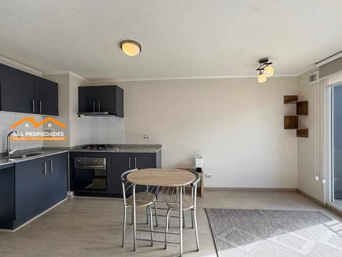 Arriendo Depto 1d 1b 36 M2 Portal Mirador 1 Estac. $480.000