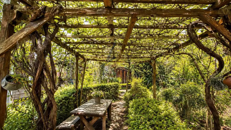 PARCELA EN VENTA  TALAGANTE (179097) - Imagen 19