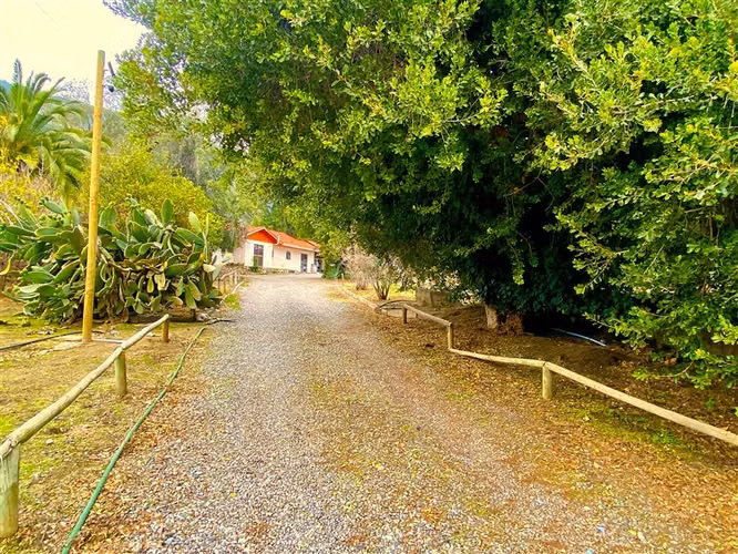 Casa en venta de 5 dorm. en Pirque 5.867 terreno y 216 casa